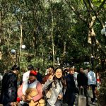 阳春三月登山踏青森林咖啡馆赏茶，巴展归来话国际风云…..诚信前华为人社群2026年3月活动来了！